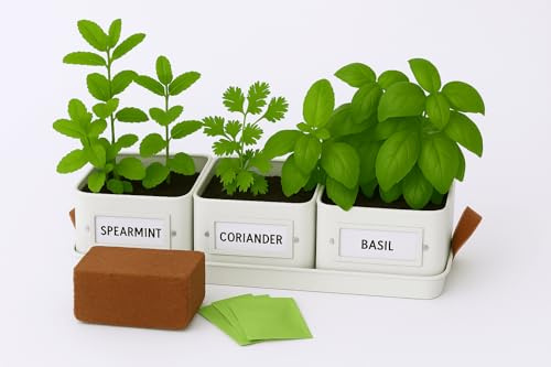 Gardening Naturally Lot de 3 pots à herbes aromatiques de cuisine avec plateau - Pots carrés en acier avec revêtement en poudre - 10,5 cm - Gris tourterelle, crème au beurre, vert menthe (gris