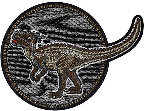 Toppa ricamata ferro o cucitura Patch Dinosauri per bambini da cucire/stirare | Applicazione con immagine di Dracorex per tutti i tessuti | Fai da te per abbigliamento dei bambini | 100x75mm