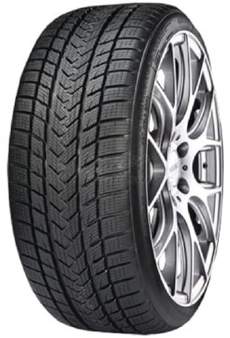 Neumáticos de invierno 195/55 R20 95H Gripmax Status Pro Winter GTA