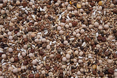 Deluxe No Corn Racer Pigeon Mix (17.5%) 20 lbs