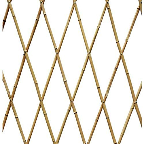 Suinga Treillis en bambou de 120 x 240 cm, pour les plantes grimpantes. Utile pour les jardins, les clôtures, la décoration, la fixation des plantes.