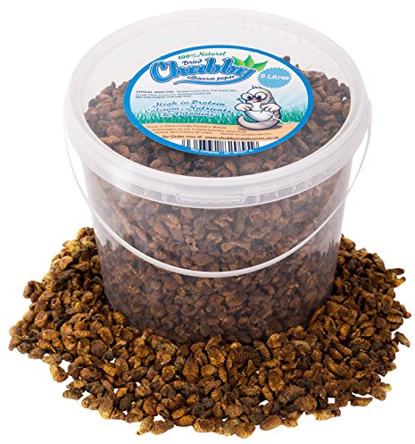 Chubby Mealworms Dried Silkworm Pupae (5 Litre), Dried Silkworm for Wild Birds, Koi Fish, Reptiles, Turtles & Other Animals, High Protein Koi Food