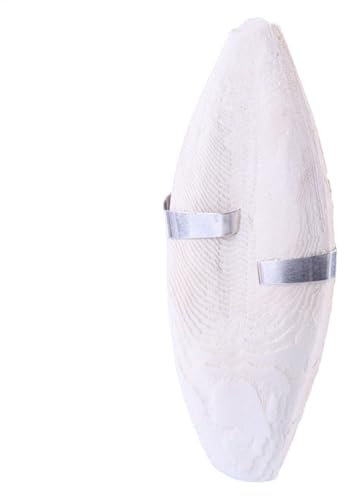 Halb Vogelknochen, natürlicher Papageienkauen, Tintenfisch-Knochen | Mahldecke für Haustiere, Vogelsnack, reich an Kalzium, geschärfte Knochen des Kauknochens