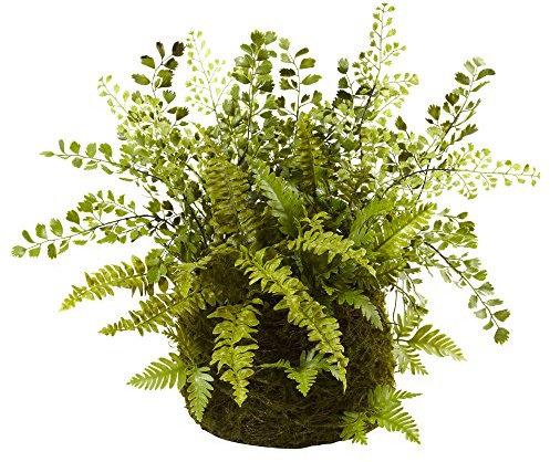 Nearly Natural Mixed Fern with Twig and Moss Basket
