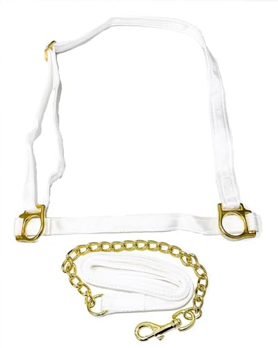 Welsh Show Halter with Chain Lead Rein – White Webbing & Brass Fittings – Adjustable Headcollar for Pony & Cob – Made in the UK (Cob)