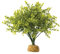Exo Terra Buchsbaum, künstliche naturgetreue Pflanze für Terrarien, ideal für Regenwaldterrarien, 4 g (1er Pack)