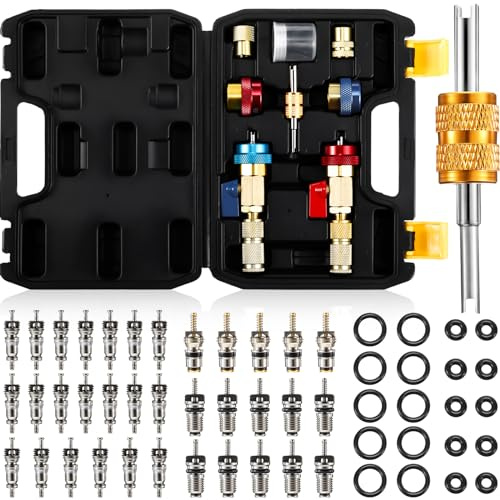 Frienda R134A R1234YF Lot de 35 outils de démontage de valve de climatisation Schrader avec 20 joints toriques en caoutchouc pour voiture (A/C R12 R22 R410 R134a R1234yf)