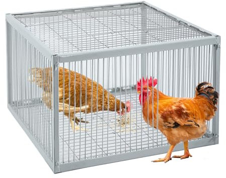 Trampa para pollos con diseño a prueba de escapes, trampa para pájaros con entrada unidireccional, trampas para pollos y pájaros para palomas, portátil y fácil de montar, inofensivo, hecha de hierro