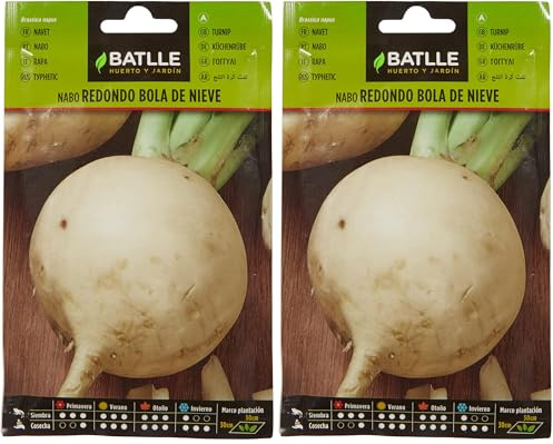 Semillas Batlle Nabo BOLA DE NIEVE (Paquete de 2)