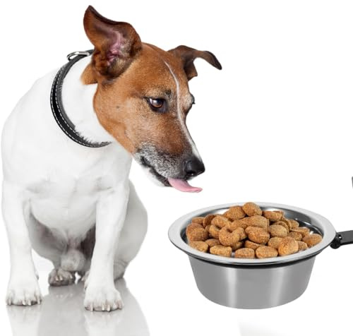 ibasenice Wall Mounted Elevated Dog Bowl Raised Dog Food and Water Bowl for Feeding 8.27 in Pet for Indoor Use Easy to Clean Smooth Surface for Dogs and Cats