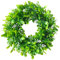 SOMYTING Corona Artificial de Eucalipto Verde Corona de Puerta 30cm Artificial Blanca Corona Primavera de Pared Corona de Plástico Decoración para Exterior Fiesta Jardín Pared