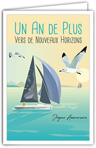 69-4320 Carte Anniversaire - 1 An de Plus - Enveloppe - Mini Posters Format 17x11,5cm - Nouveaux Horizons Bateau Voilier Navigation Oiseaux Mouettes Mer Rétro Vintage - Fabriquée en France
