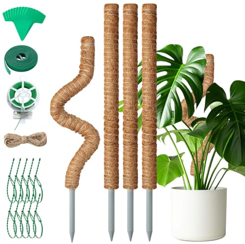 Mactoou 4 Pezzi Bastone Tutore per Piante, 65cm Sostegno Piante Rampicanti, Bastone in Fibra di Cocco per Piante Pieghevoli per Casa Giardino Balcone
