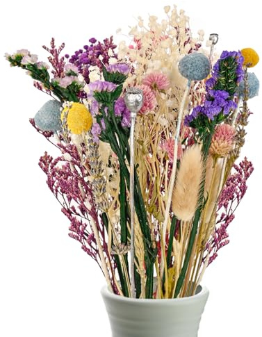 Fleurs séchées, Bouquet de Fleurs séchées à réaliser soi-même pour la décoration de Votre Chambre et de Votre Salon (Style 2)