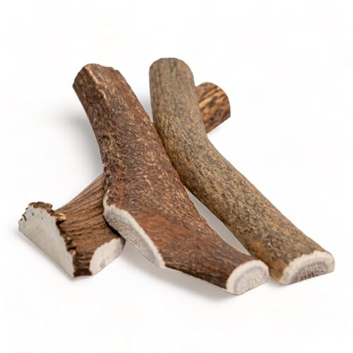 Dilecti Geweih für Hunde - Natürliche, robuste und nahrhafte Kauartikel aus Hundegeweih. Reich an Proteinen, Mineralien und Vitaminen! - S (3er Pack) halbiert