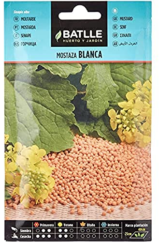 Graines aromatiques de Batlle - Moutarde blanche Sinapis alba (10g)