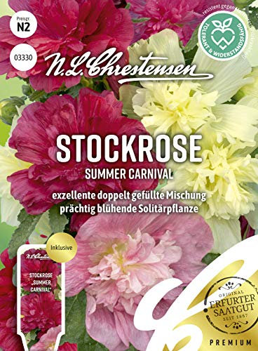 Stockrose Summer Carnival