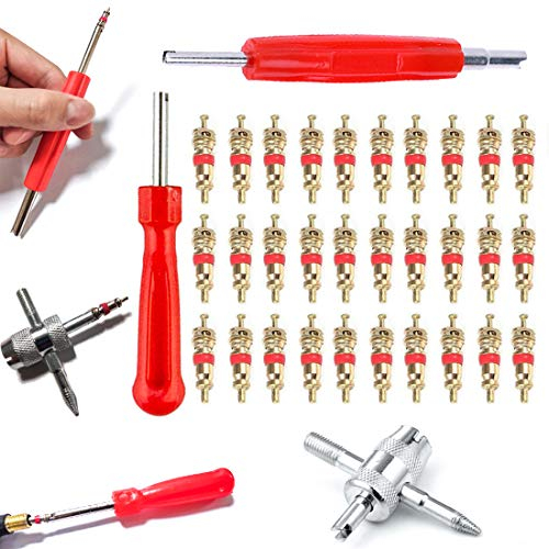 QISF 33Pcs Car Bike Tyre Valve Core Tool Set,30Pcs Valve Cores/4 in 1 Tyre Valve Repair Tool/Dual & Single Head Valve Core Removers
