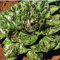 FRECKLES lattuga romana 300 SEMI uso come bambino o MATURA SEMPRE UN SUPPORTO OUT:Seeds Only