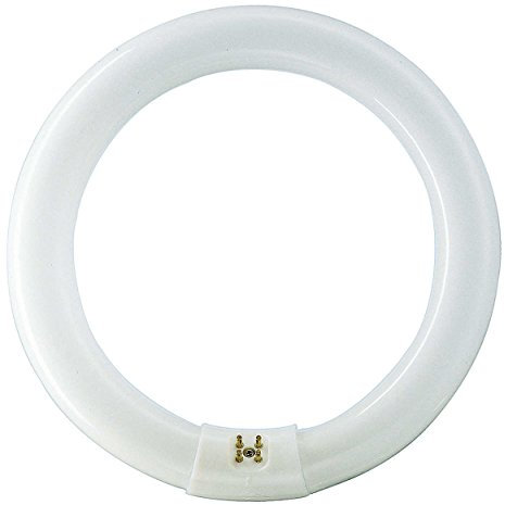 TUBO FLUORESCENTE CIRCULAR 22W Ø21cm TRIFOSFORO 865K LUZ FRIA PHILIPS