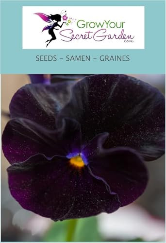 Pensée Black Cristal 50 Graines