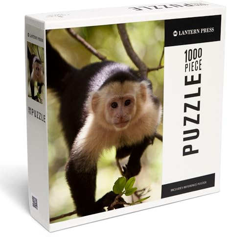 Lantern Press Puzzle Capuchin Monkey