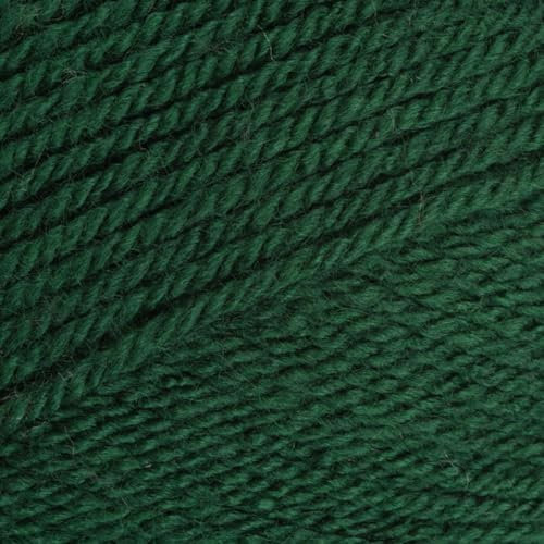 Stylecraft 9041009 Special DK Bottle (1009) Yarn - 100g