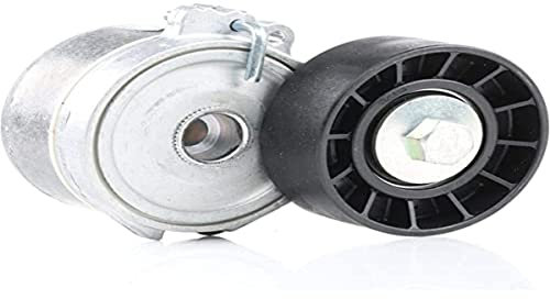 DAYCO APV1028 Tensor de Correa, Correa Poli V