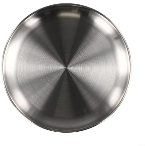 Plato redondo de acero inoxidable plateado, platos llanos de acero inoxidable de 10 pulgadas, para cena, almuerzo, cocina, fiesta, lavavajillas y microondas (26 cm)