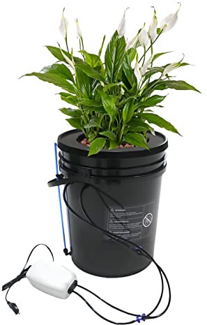 Sistema di Coltivazione idroponica DWC con Kit di gocciolamento Superiore, Kit di Sistema di Coltivazione idroponica in plastica da 5 galloni per Verdure Morus da Interno/Esterno