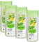 alverde Naturkosmetik Pflegedusche Minze Bergamotte, 4er Pack (4 x 250 ml Flasche)