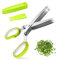Forbici per Erbe Aromatiche,Forbici da Cucina a 5 Lame in Acciaio Inox Forbici per Spezie con Coperchio di Sicurezza e Pettine per Erbe Aromatiche, Erba Cipollina, Prezzemolo