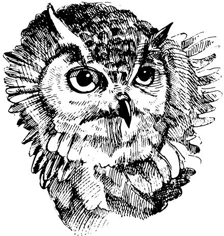 Ideen mit Herz Feinkontur-Stempel | Scrapbooking, Handwerk, Heimwerk, DIY, Grußkartengestaltung (Eule, 15 x 15 cm)