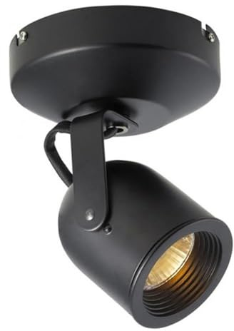 WAC Lighting, Monopoint 808 Spot Light in Black