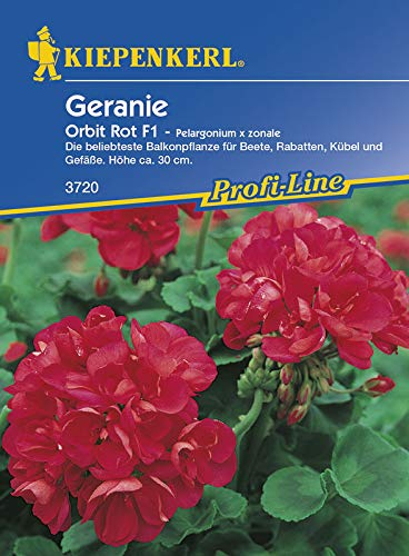 Kiepenkerl 3720 Geranie Orbit Rot F1 (Geraniensamen)