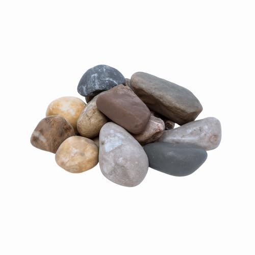 FORTUNATO Ciottoli Grigio Ghedi, Pietra Naturale Decorativa, Disponibile in Formati da 5 kg o 25 kg (Misura : 20/30, Formato : 5 kg)