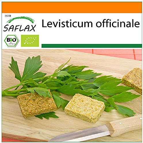 SAFLAX - Jardin dans le sac - BIO - Livèche - 100 graines - Avec substrat de culture dans un sac de levage facile à manipuler. - Levisticum officinale