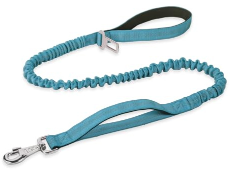 BUMBIN 6Ft Dog Leash Large Dogs, Bungee Dog Leash with 2 Handles, Heavy Duty Leashes for Medium Small Dogs, No Pull Shock Absorbing，with Car Seat Belt for Training, Blue