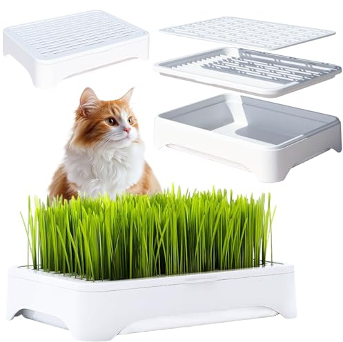YjiaYjiaY Lot de 2 pots de fleurs d'herbe à chat (sans graines), design en trois sections, plateau de démarrage anti-arrachement, kit de culture de germes, plateaux de culture de microgreens