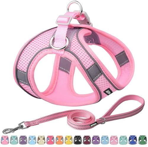 AIITLE Set di imbracatura e guinzaglio per cani comodi - Imbracatura con gilet, fasce riflettenti, elementi essenziali regolabili per cuccioli, per cani di piccola taglia Rosa puro XS