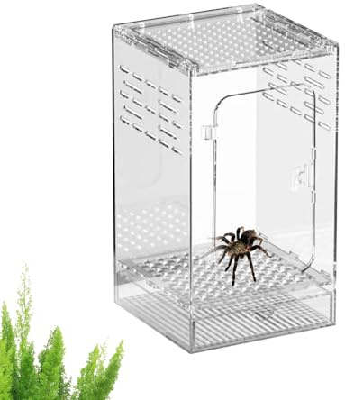 Recinto para Arañas Saltarinas - Hábitat De Acrílico Transparente con Ventilación Transpirable | De Terrario para Insectos Reptiles con Puerto De Alimentación, Pantalla Transparente Segura | para