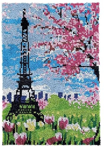 ROCKY&CHAO Myriad Choices DIY Latch Hook Rug Kit, 60 X 40 cm, for Kids & Adults, Home Decor, Unisex, Not Foldable