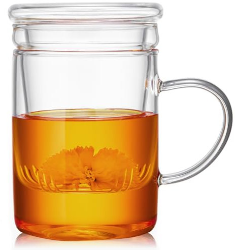 MESNEY Taza de Té con Filtro y Tapa de Vidrio Borosilicato 500ml, Taza Infusiones con Tapa y Filtro – Taza para Infusiones Ergonómica, Fácil de Limpiar, con Infusor Antirresiduos