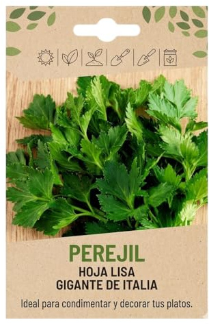 Perejil Fresco Directo de Tu Huerto | Semillas de Perejil para Cultivar en Casa DECOALIVE