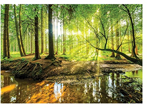 WallArena - Vlies Fototapete Wald Sonne Bach Grün Natur Bäume 350x250 cm - Fototapeten - Tapeten - für Wohnzimmer Schlafzimmer - Vliestapete Wandtapete Tapete 3D Effekt- inkl. Kleister