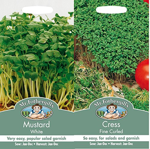 Mr Fothergills Mustard & Cress Seed (1)