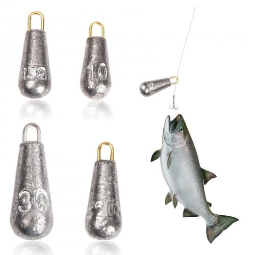 Plomb de Pêche 20 Pièces - 4 Poids Différents (10g/15g/20g/30g) pour Carpe
