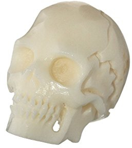 NKlaus Bijoux de cheveux Perle de barbe BLAZER Tête de mort Perle bouclée en os 6434