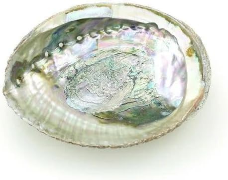 1 grand bol en ormeau coloré de 10,2 à 11,4 cm pour brûler de la sauge et des bâtons d'encens, pour la décoration et l'exposition