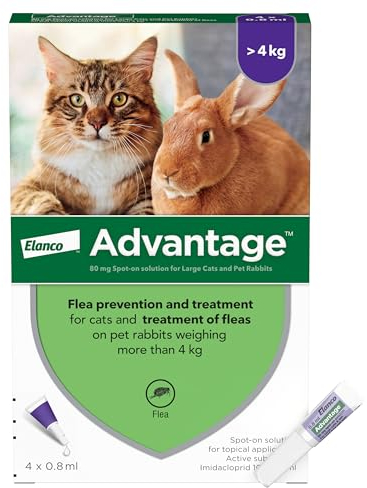 Advantage Flea Treatment 80 for Large Cats and Rabbits 4x Pipette, For Pets Weighing More than 4kg, Spot-on Treatment to Kill and Prevent Fleas on Large Cats and Treat Fleas on Pet Rabbits